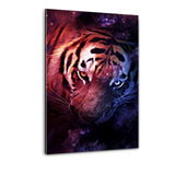 Lighted Tiger - Plexiglasbild - Hustling Sharks