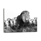 Lion Among Sheep - Alu-Dibond Bild - Hustling Sharks