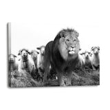 Lion Among Sheep - Leinwandbild - Hustling Sharks