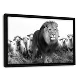 Lion Among Sheep - Leinwandbild mit Schattenfuge "schwarz" - Hustling Sharks