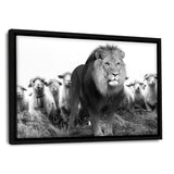 Lion Among Sheep - Leinwandbild mit Schattenfuge "schwarz" - Hustling Sharks