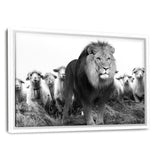 Lion Among Sheep - Leinwandbild mit Schattenfuge "weiß" - Hustling Sharks