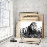 Lion Among Sheep - Mockup mit Hintergrund - Hustling Sharks