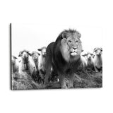 Lion Among Sheep - Plexiglasbild - Hustling Sharks