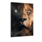 Lion Face - Alu-Dibond Bild - Hustling Sharks