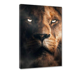 Lion Face - Leinwandbild - Hustling Sharks