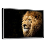 Lion View - Leinwandbild mit Schattenfuge "silber" - Hustling Sharks