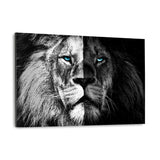 Lion b/w - Alu-Dibond Bild - Hustling Sharks