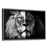 Lion b/w - Leinwandbild mit Schattenfuge "silber" - Hustling Sharks
