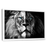 Lion b/w - Leinwandbild mit Schattenfuge "weiß" - Hustling Sharks