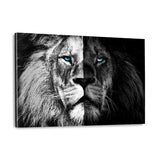 Lion b/w - Plexiglasbild - Hustling Sharks