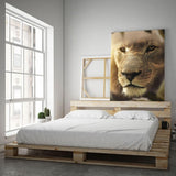 Lions Face #2 - Mockup mit Hintergrund 1 - Hustling Sharks