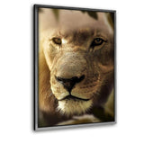 Lions Face #2 - Leinwandbild mit Schattenfuge "silber" - Hustling Sharks