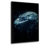 Magical Eagle - Alu-Dibond Bild