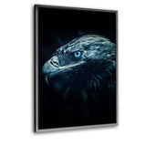 Magical Eagle - Leinwandbild mit Schattenfuge "weiß"