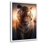 Majestic Tiger - Leinwandbild mit Schattenfuge "weiß" - Hustling Sharks