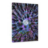 Moon Swirl - Leinwandbild - Hustling Sharks