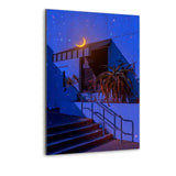 Moonlight 2 - Alu-Dibond Bild - Hustling Sharks