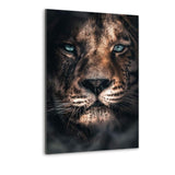 Mysterious Lioness - Alu-Dibond Bild - Hustling Sharks