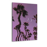 Palm Vibes - Alu-Dibond Bild - Hustling Sharks