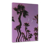 Palm Vibes - Leinwandbild - Hustling Sharks