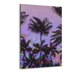 Palm Visions - Alu-Dibond Bild - Hustling Sharks