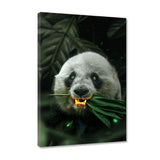 Goldener Panda - Leinwandbild - Hustling Sharks