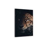 Plexiglasbild - Wilder Jaguar - Hustling Sharks