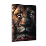Plexiglasbild - Lion Scar - Hustling Sharks