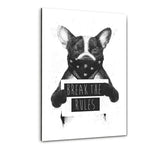 Rebell Dog - Plexiglasbild - Hustling Sharks