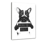 Rebell Dog - Plexiglasbild - Hustling Sharks
