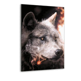 Smoking Wolf - Alu-Dibond Bild - Hustling Sharks