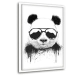 Stay Cool - Leinwandbild mit Schattenfuge "weiß" - Hustling Sharks