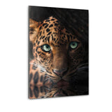 The Drinking Leopard - Plexiglasbild - Hustling Sharks