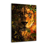 The Great King - Alu-Dibond Bild - Hustling Sharks