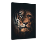 Tiger Lion - Leinwandbild - Hustling Sharks