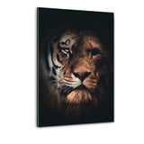 Tiger Lion - Plexiglasbild - Hustling Sharks