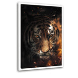 Tiger Sparkles - Leinwandbild mit Schattenfuge "weiß" - Hustling Sharks