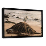 Turtle Island - Leinwandbild mit Schattenfuge "schwarz" - Hustling Sharks