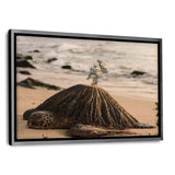 Turtle Island - Leinwandbild mit Schattenfuge "silber" - Hustling Sharks