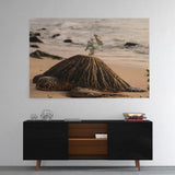 Turtle Island - Mockup mit Hintergrund - Hustling Sharks