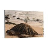 Turtle Island - Plexiglasbild - Hustling Sharks