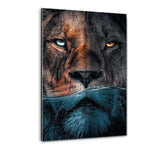 Underwater Lion - Plexiglasbild - Hustling Sharks