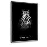WEISHEIT - Leinwandbild mit Schattenfuge "silber" - Hustling Sharks