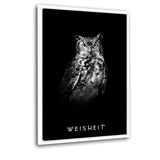 WEISHEIT - Leinwandbild mit Schattenfuge "weiß" - Hustling Sharks