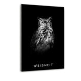 WEISHEIT - Plexiglasbild - Hustling Sharks