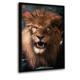 Wild Lion - Leinwandbild mit Schattenfuge "schwarz"- Hustling Sharks