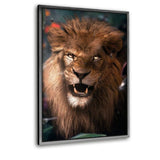 Wild Lion - Leinwandbild mit Schattenfuge "silber" - Hustling Sharks