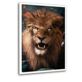 Wild Lion - Leinwandbild mit Schattenfuge "weiß" - Hustling Sharks
