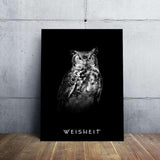 WEISHEIT - Mockup mit Hintergrund 1 - Hustling Sharks